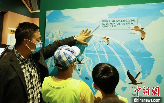 圖為小朋友在青海西寧湟水國家濕地公園科普館內參觀學習。　馬銘言 攝
