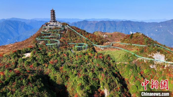 巴山大峽谷彩林迎來最佳觀賞期?！∫κ?攝