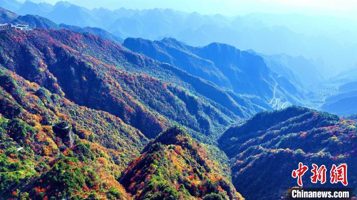 巴山大峽谷彩林迎來最佳觀賞期?！埰?攝
