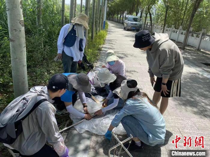 圖為科研人員正在進行監(jiān)測?！∥鲗庝宜畤覞竦毓珗@供圖