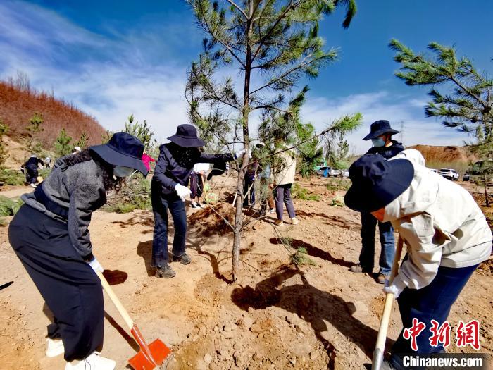 圖為西寧市城東區(qū)干部職工參加義務(wù)植樹(shù)。　張?zhí)砀?攝