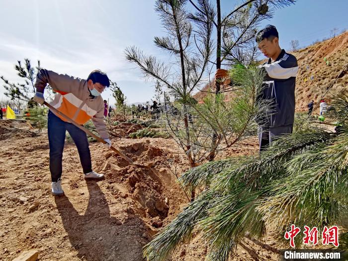 圖為西寧市城東區(qū)義務(wù)植樹(shù)活動(dòng)現(xiàn)場(chǎng)。　張?zhí)砀?攝