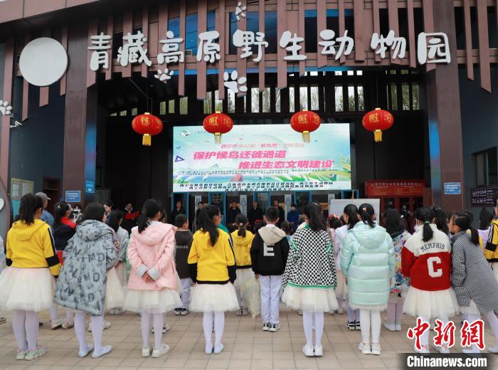 圖為青海省西寧市開展第42屆“愛鳥周”科普宣傳活動?！●R銘言 攝