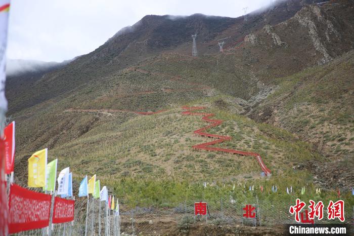 圖為拉薩南北山綠化工程拉薩曲水縣才納村5號片區(qū)?！∝暣_ 攝
