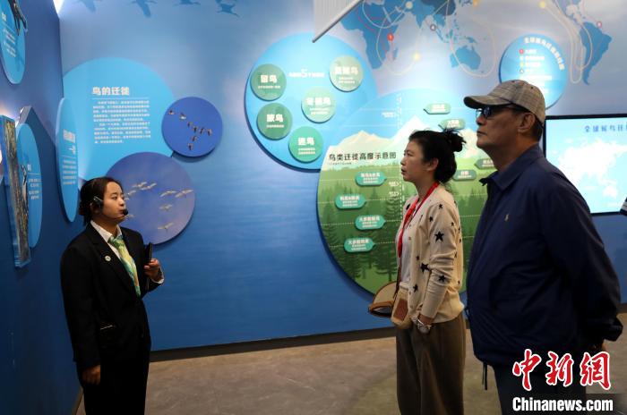 圖為臺商在祁連山國家公園生態(tài)科普館內(nèi)聆聽講解?！⊙Φ?攝