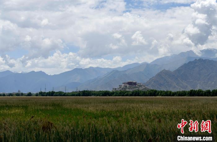 圖為拉薩拉魯濕地。　李林 攝