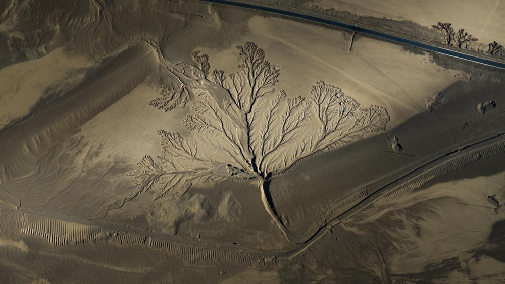 無人機視角下的西藏阿里地區(qū)改則縣“大地之樹”景觀。尼瑪多吉攝