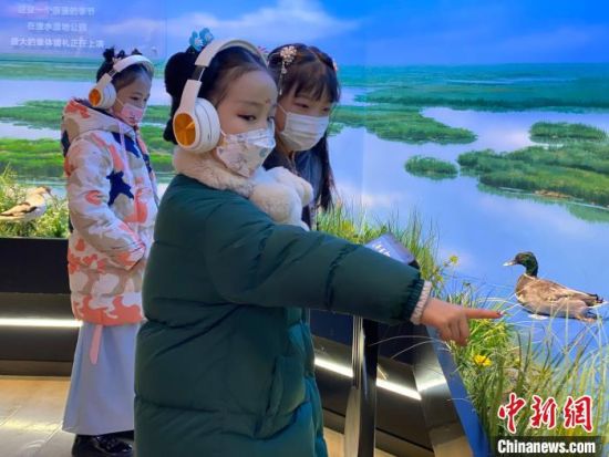 圖為學(xué)生在西寧市第一中學(xué)濕地科普宣教館內(nèi)參觀?！±罱瓕?攝