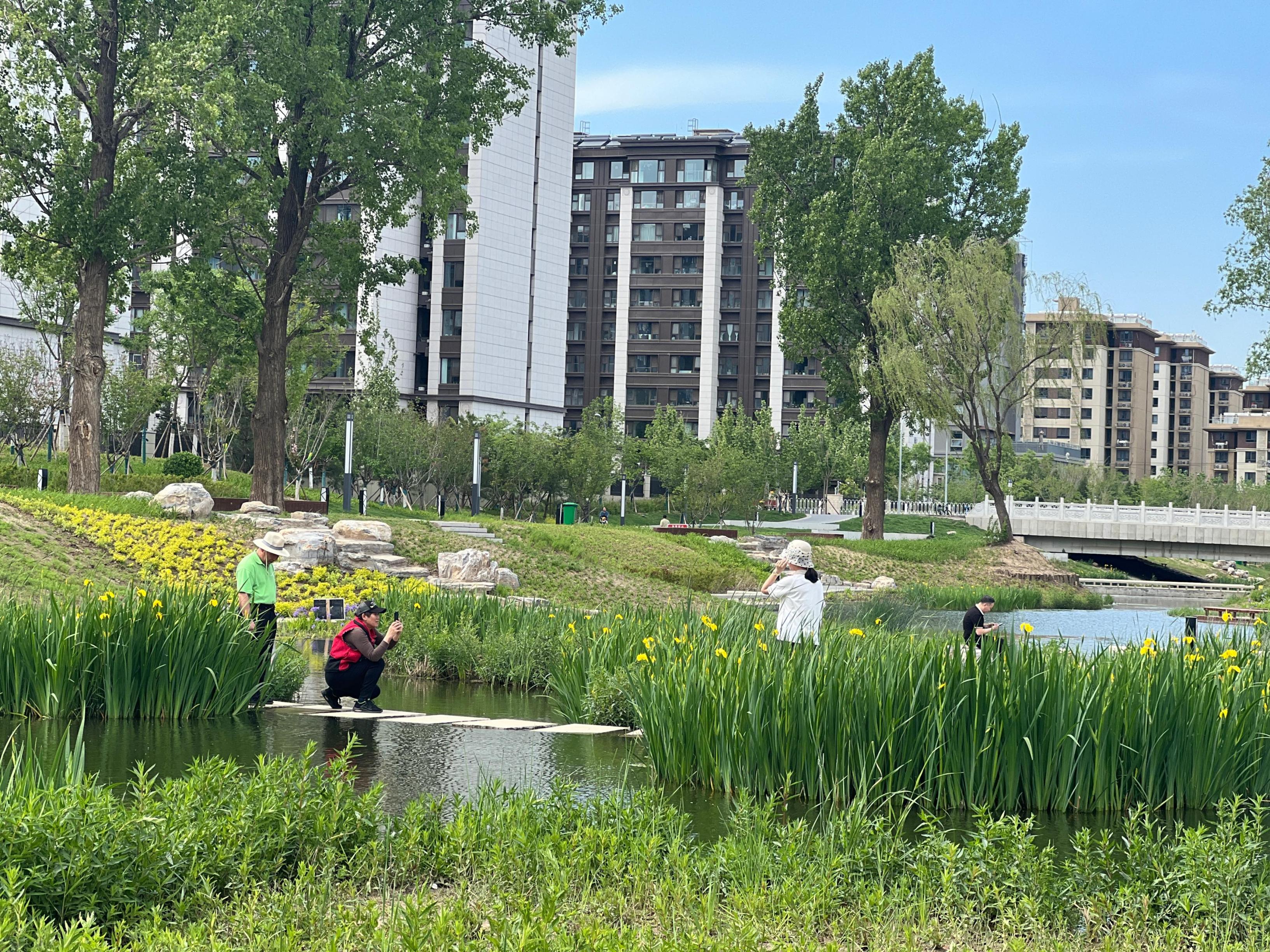 五一渠生態(tài)濱河公園內(nèi)，市民正在拍照留念。人民網(wǎng) 歐陽易佳攝