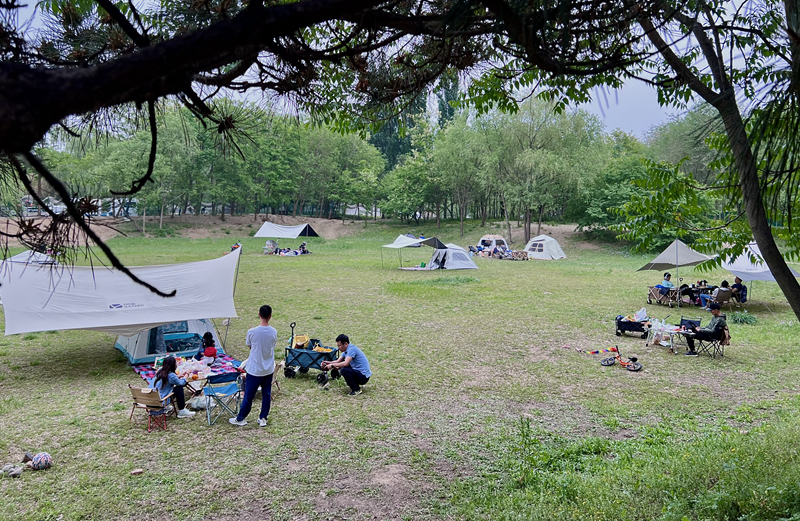 “自駕+露營”等多元模式受熱捧。人民網(wǎng)記者 王連香攝