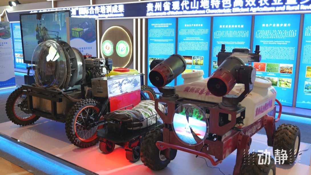 展示成果分享經(jīng)驗，中國—東盟教育交流周深化合作共創(chuàng)未來！