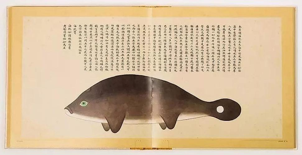 文化中國(guó)行 長(zhǎng)江之歌丨微笑的江豚，從四千年前“游”來