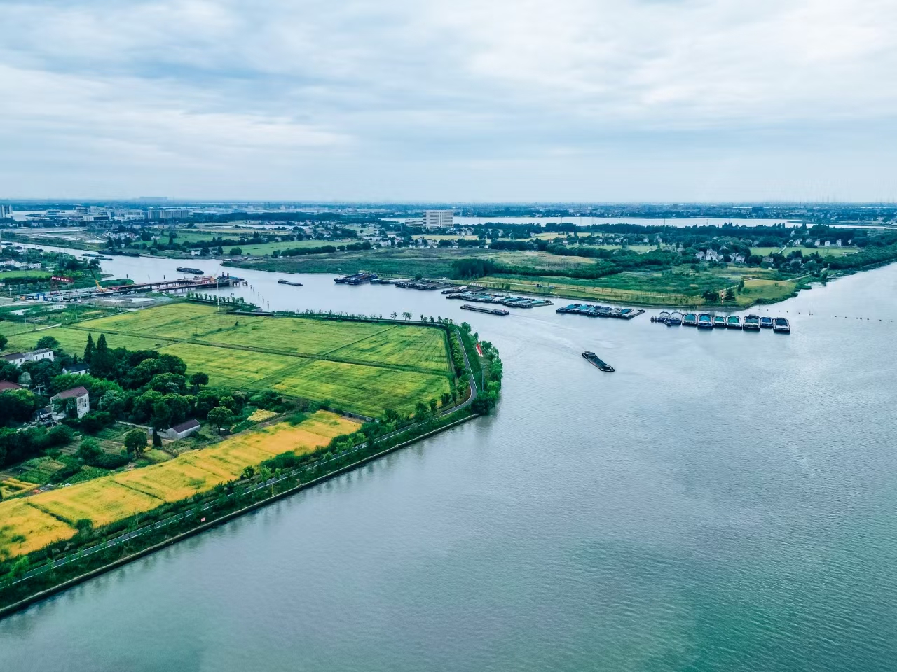 太浦河沿岸好風(fēng)光。吳橫軒攝
