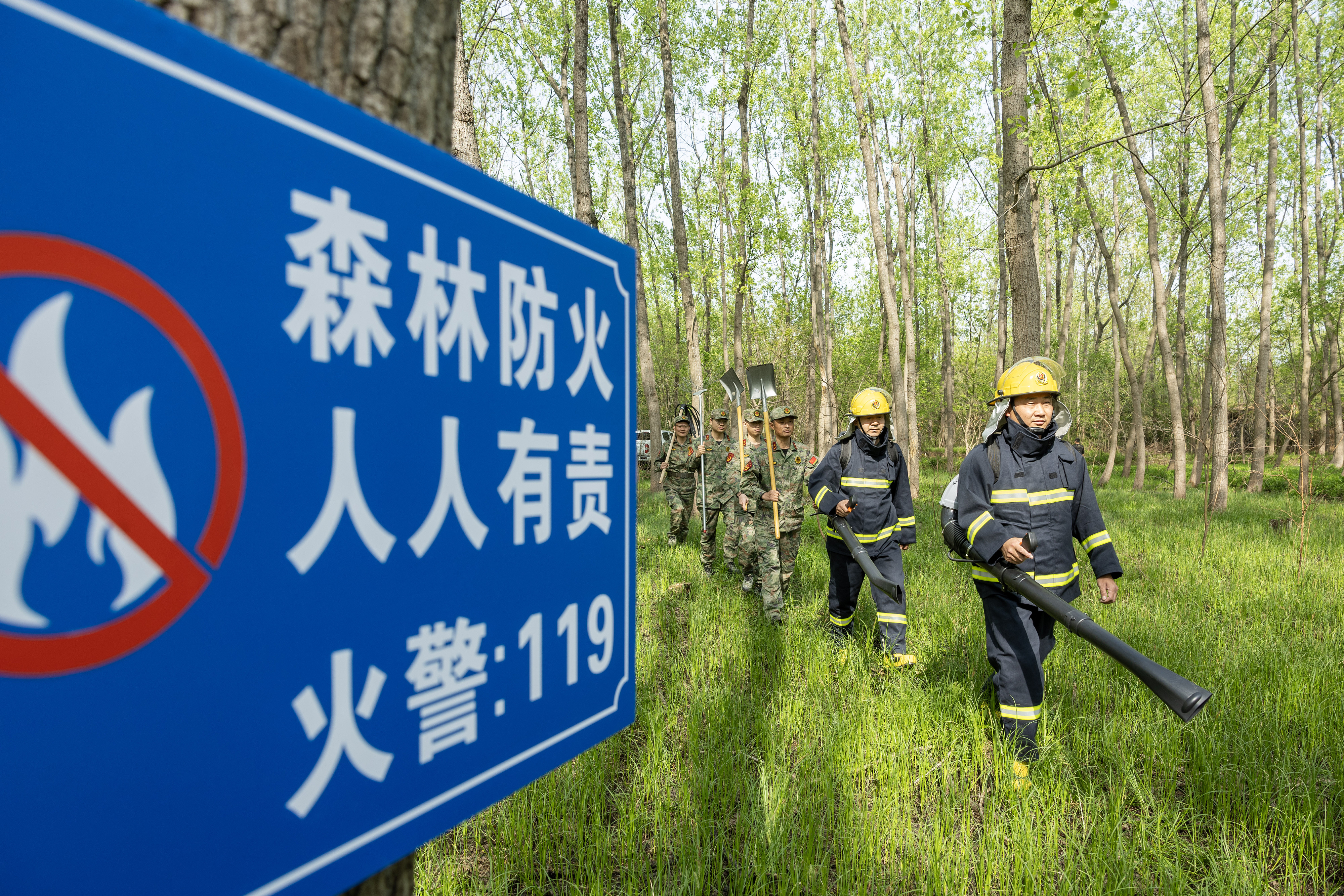2024年4月9日，合肥市大房郢水庫水源保護地廬陽經(jīng)濟開發(fā)區(qū)段，基干民兵正在林間巡查火災(zāi)隱患。