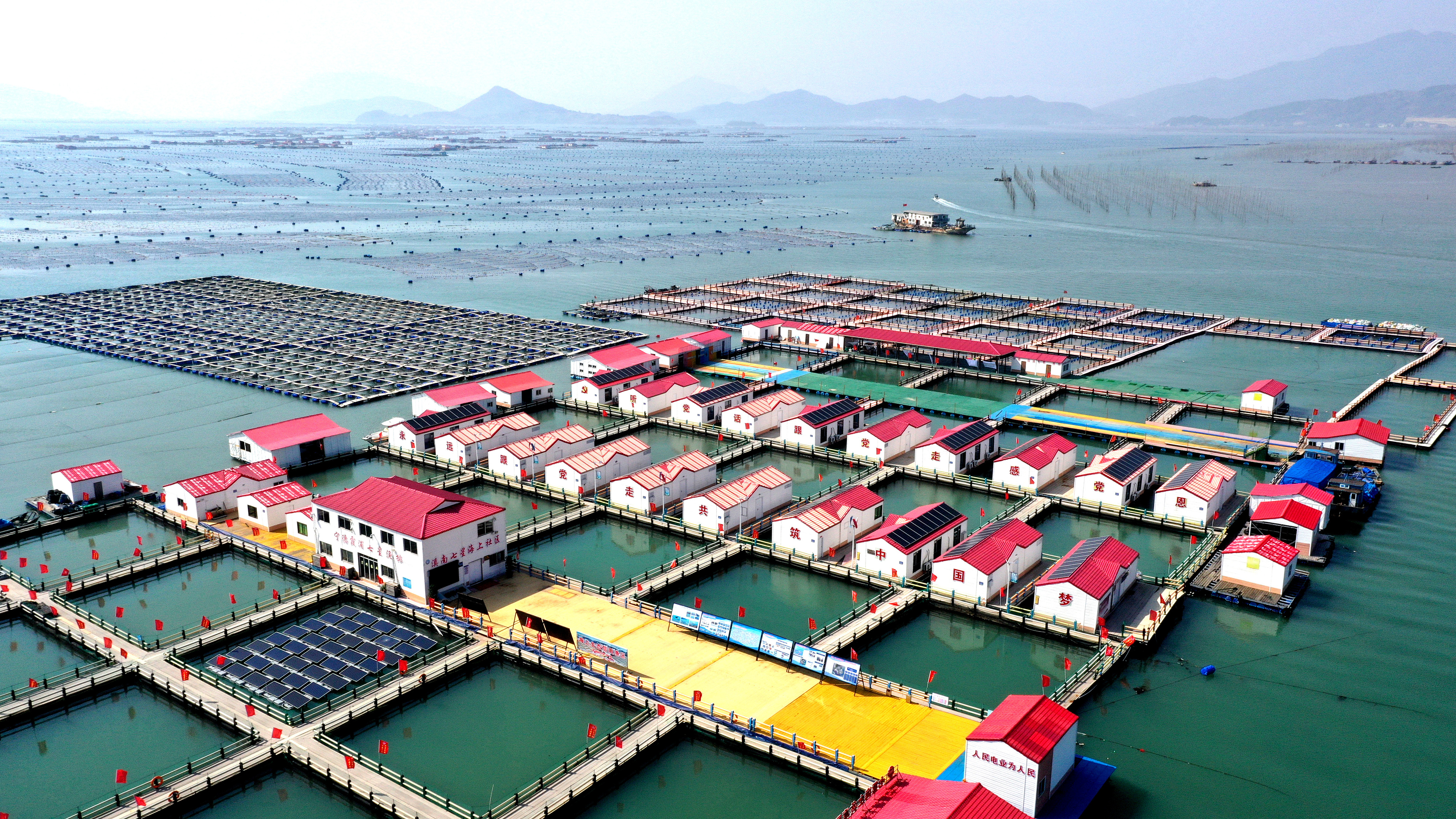 2024年3月20日，福建省寧德市，霞浦縣溪南鎮(zhèn)七星村漁排養(yǎng)殖示范區(qū)，漁民駕駛養(yǎng)殖船進行海參養(yǎng)殖作業(yè)。