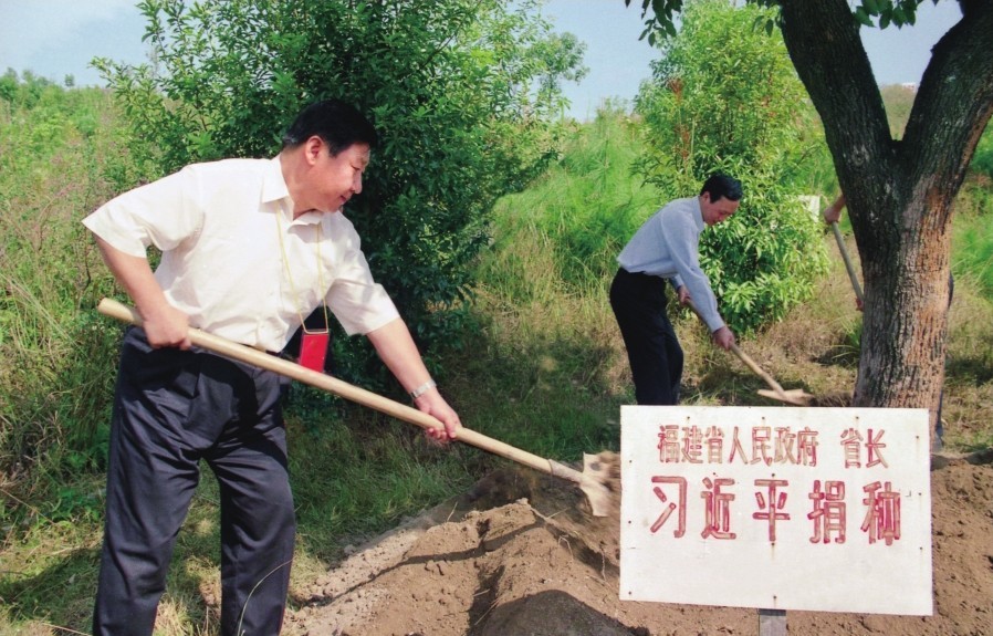 2001年10月，習(xí)近平在龍巖市長(zhǎng)汀縣調(diào)研水土流失治理工作，在河田世紀(jì)生態(tài)園為樹培土。圖源：《習(xí)近平在福建（下）》
