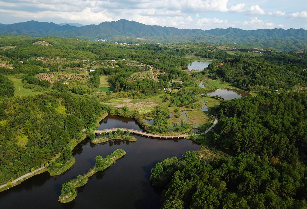 福建省龍巖市長(zhǎng)汀縣的長(zhǎng)汀汀江國(guó)家濕地公園景色（2020年7月28日攝，無人機(jī)照片）。新華社記者 魏培全 攝