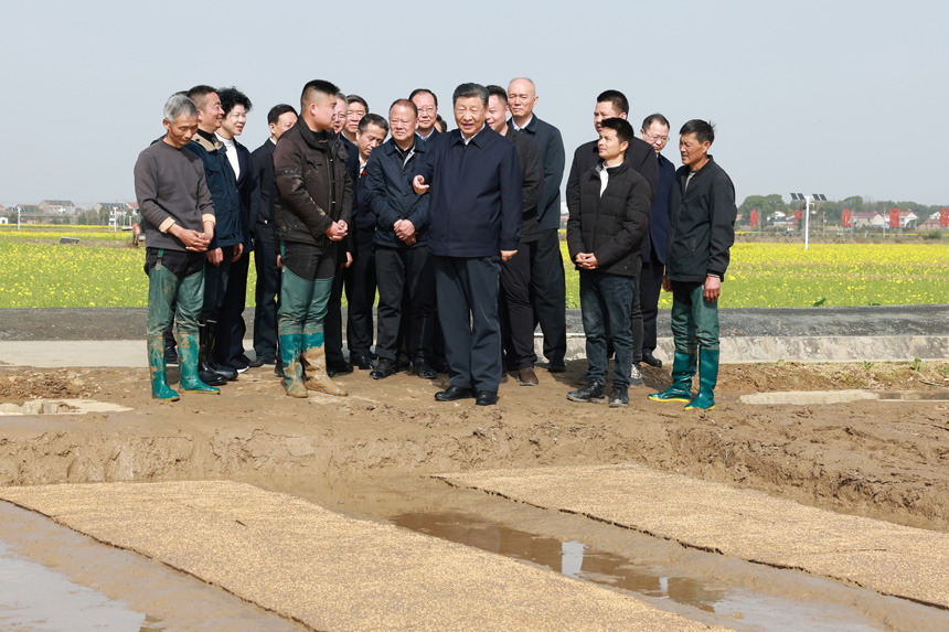 2024年3月18日至21日，中共中央總書記、國家主席、中央軍委主席習(xí)近平在湖南考察。這是19日下午，習(xí)近平在常德市鼎城區(qū)謝家鋪鎮(zhèn)港中坪村走進(jìn)田間，察看秧苗培育和春耕備耕進(jìn)展。新華社記者 王曄 攝