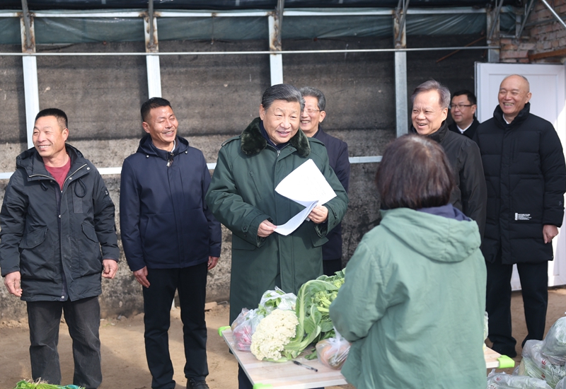 2024年2月1日，習(xí)近平總書記在天津市西青區(qū)辛口鎮(zhèn)第六埠村，走進(jìn)大棚同菜農(nóng)親切交流。