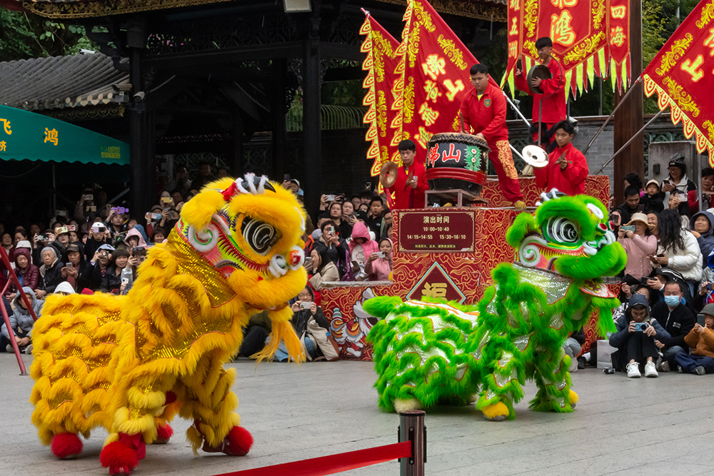 圖為廣東省佛山市祖廟的醒獅表演。
