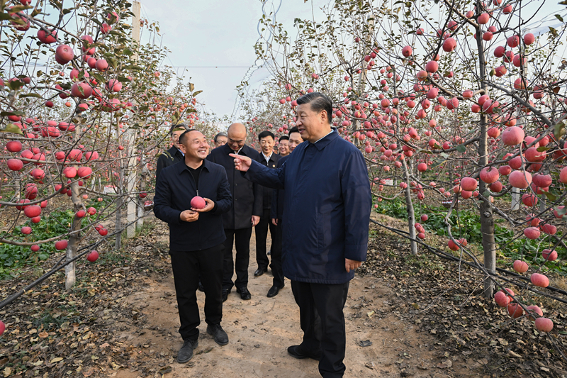 2022年10月26日，習近平總書記在陜西省延安市安塞區(qū)高橋鎮(zhèn)南溝村的蘋果園里同老鄉(xiāng)們親切交流。