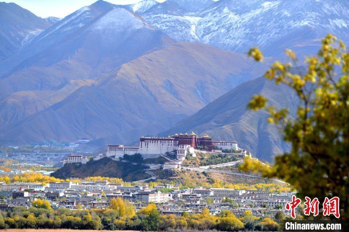 10月24日，雪山、布達(dá)拉宮和秋色組成“風(fēng)景畫(huà)”?！〗w波 攝