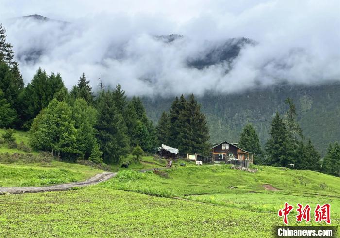 6月10日，魯朗小鎮(zhèn)高山牧場景區(qū)風(fēng)光?！∪轿木?攝