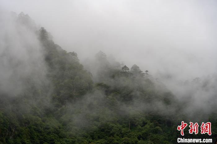 雨后勒布溝的云霧?！〗w波 攝