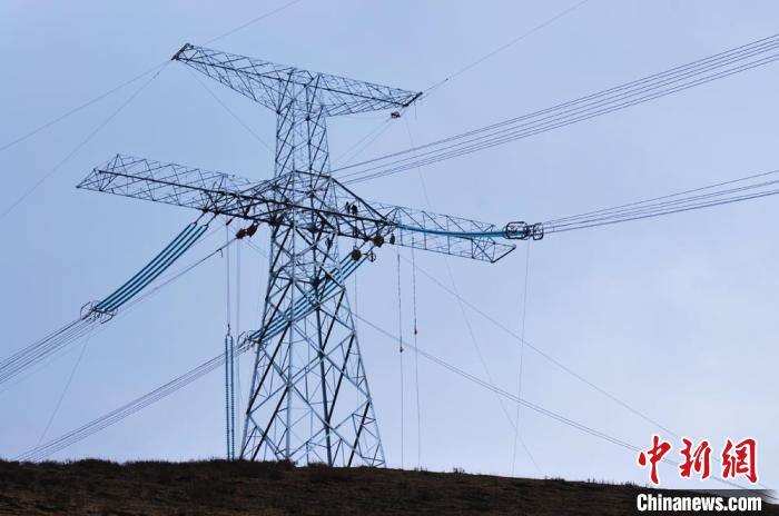 高原藏區(qū)電力線路建設(shè)者：高寒缺氧、扎刺掛彩是常事