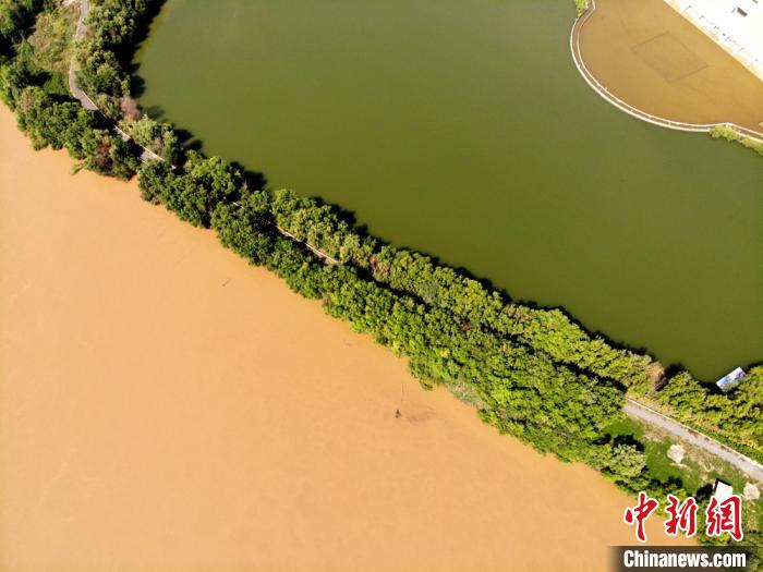圖為2020年9月3日航拍黃河蘭州段濕地公園現(xiàn)黃河“鴛鴦鍋”。(資料圖) 高瑩 攝
