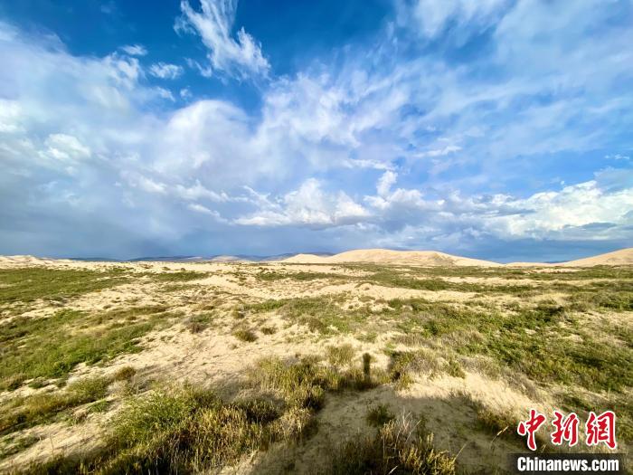 圖為關(guān)停四年后的沙島景區(qū)現(xiàn)狀。　李江寧 攝