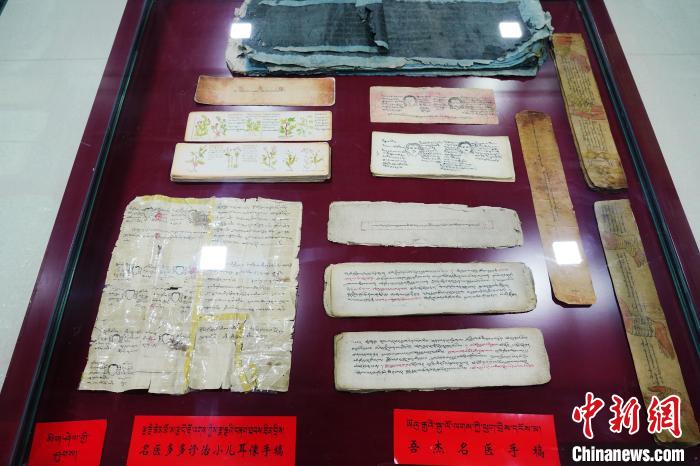 圖為藏醫(yī)古集文獻(xiàn)和藏醫(yī)臨床原始手稿?！●R銘言 攝