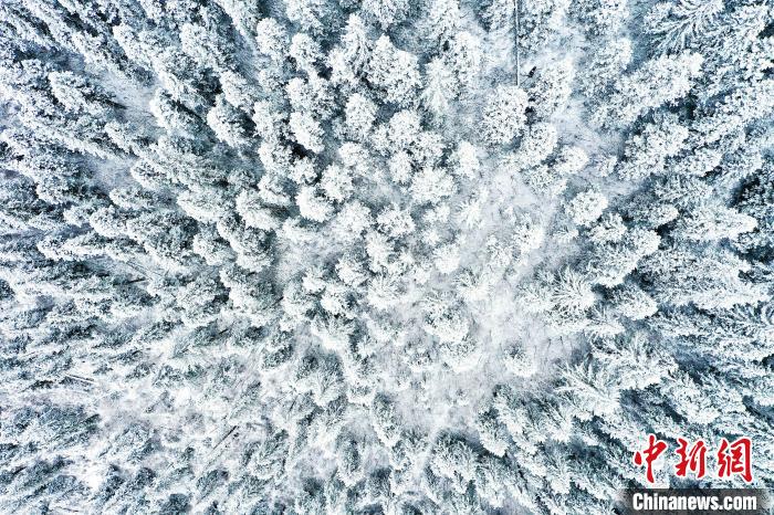 壤塘的雪后美景。　壤塘縣融媒體中心供圖