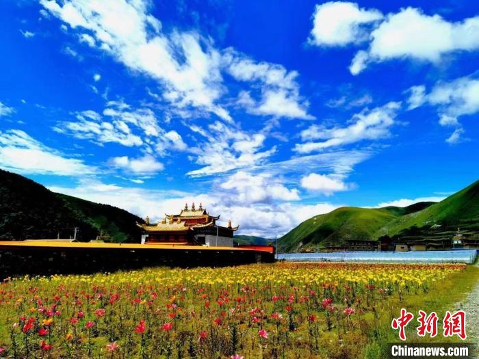 近百畝百合花競相開放，景色誘人?！∪捞量h委宣傳部供圖