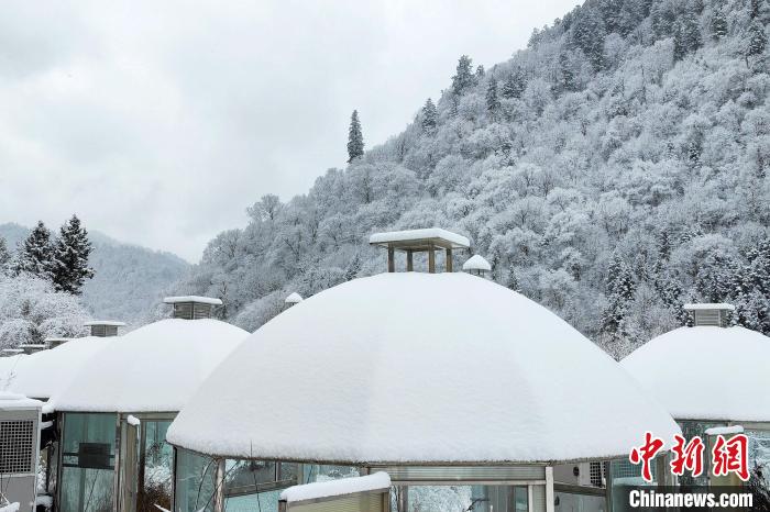 大熊貓國家公園王朗片區(qū)春雪如畫，宛若仙境?！×_春平 攝