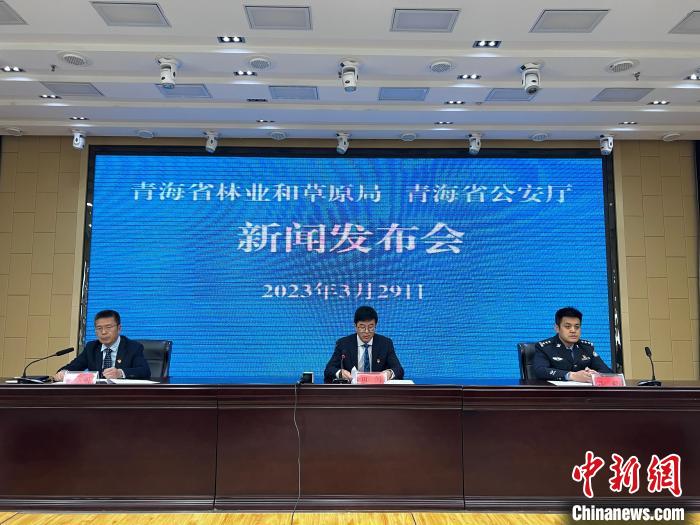 青海去年占用林地、草地準(zhǔn)予許可件同比實(shí)現(xiàn)“雙減”