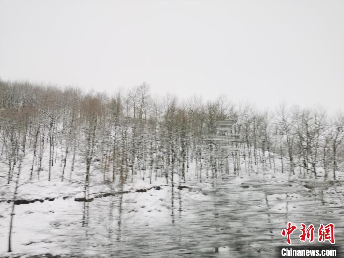 圖為青海青沙山區(qū)域被降雪覆蓋?！?zhí)砀?攝