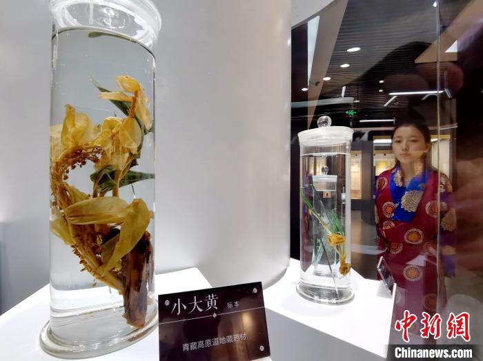 青海中藏醫(yī)藥發(fā)展提速：建設(shè)一批重點(diǎn)?？茖W(xué)科，推廣一批適宜技術(shù)