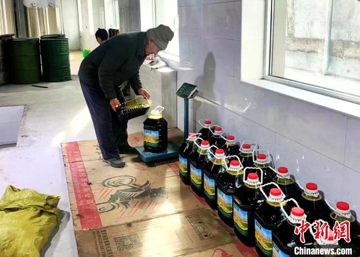 圖為高原油菜籽榨出的菜籽油?！埖么?攝