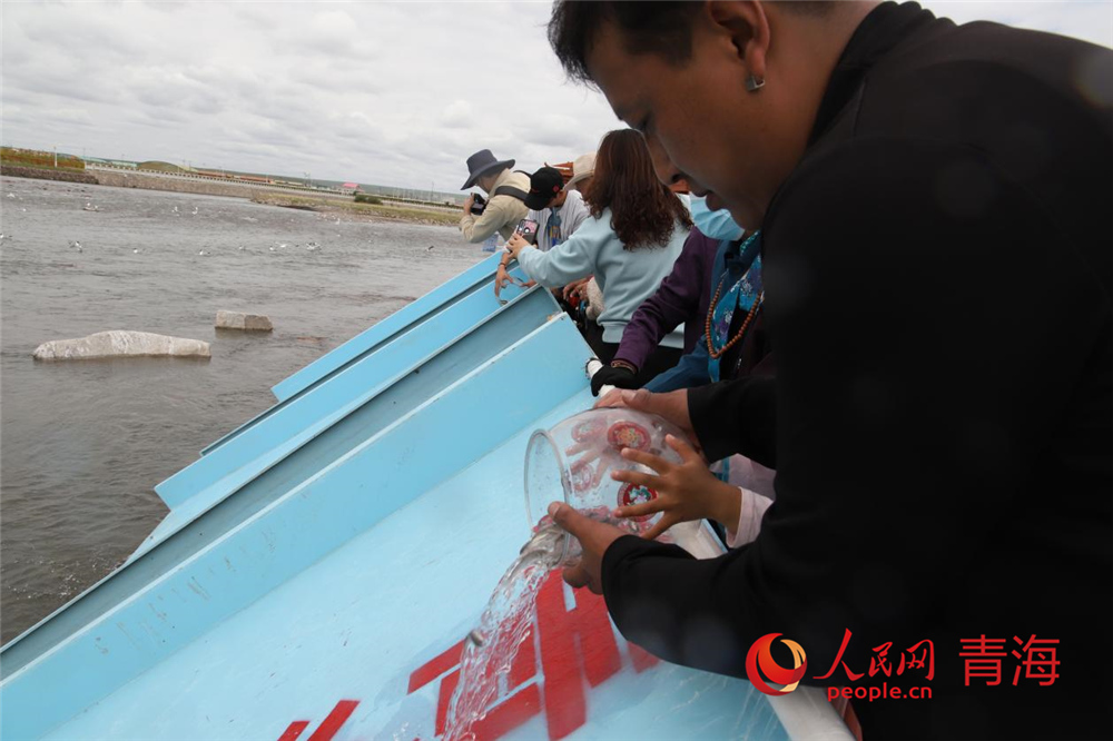 群眾放流青海湖裸鯉。人民網(wǎng) 陳明菊攝