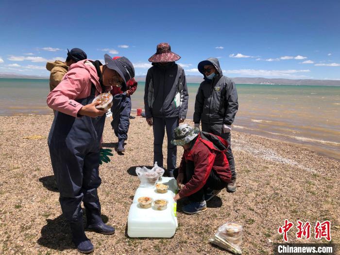 科考隊員在高原湖泊岸邊進餐?！?lt;a target='_blank' ><p  align=