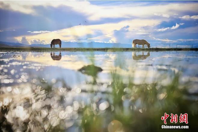 資料圖：那曲市申扎縣境內(nèi)的濕地。李雪峰 攝