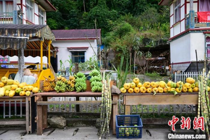 墨脫公路沿線，百姓擺攤銷售當?shù)匚锂a(chǎn)，包含香蕉、甘蔗、檸檬等。(<a target='_blank' href='/'><p  align=