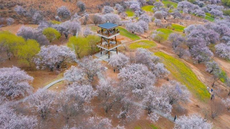 林芝嘎拉村。 張靜攝