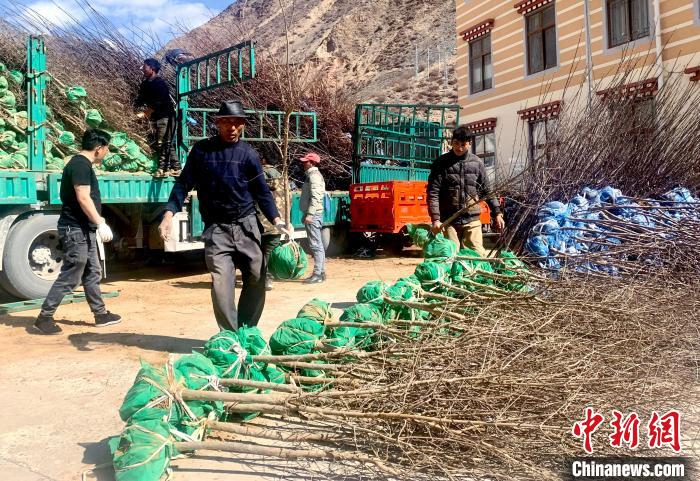 民眾搬運苗木?！〔际忻⒖悼h委宣傳部供圖