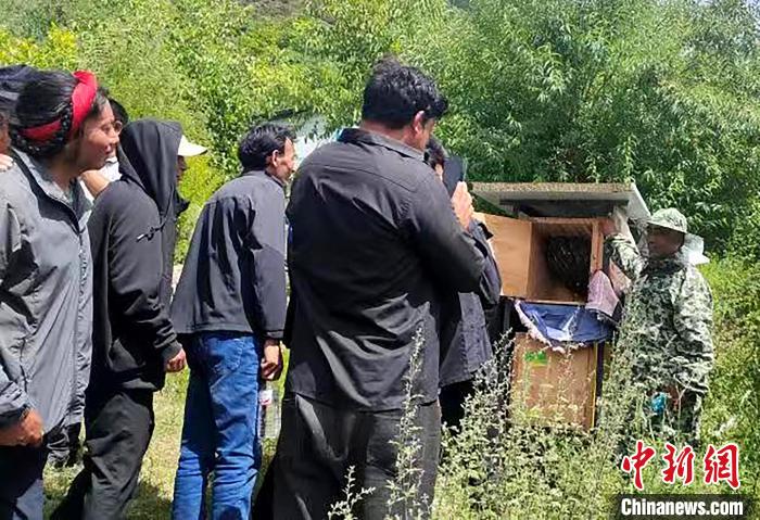 拉久西村村民學(xué)習(xí)養(yǎng)蜂工作流程和防范事項(xiàng)?！〔际忻⒖悼h委宣傳部供圖