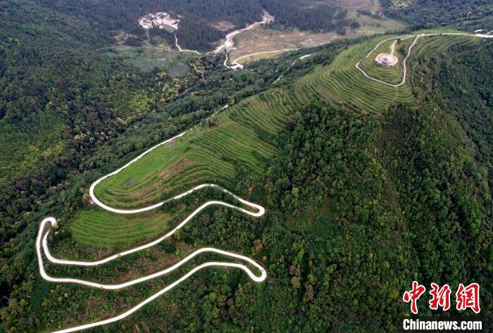 圖為西藏林芝市墨脫縣背崩鄉(xiāng)格林村山頂?shù)木坝^茶園。(無(wú)人機(jī)照片) 李林 攝