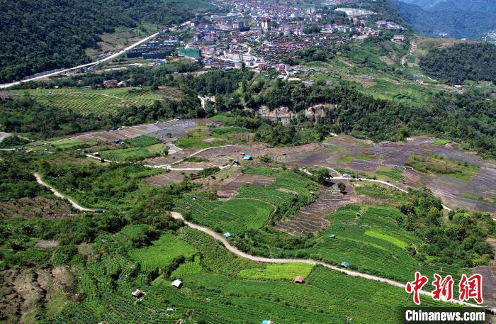 圖為西藏林芝市墨脫縣城附近的茶田。(無(wú)人機(jī)照片) 李林 攝