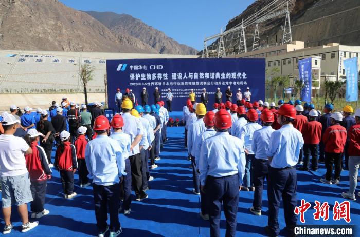 圖為蘇洼龍水電站魚類放流現(xiàn)場?！√K洼龍水電站供圖