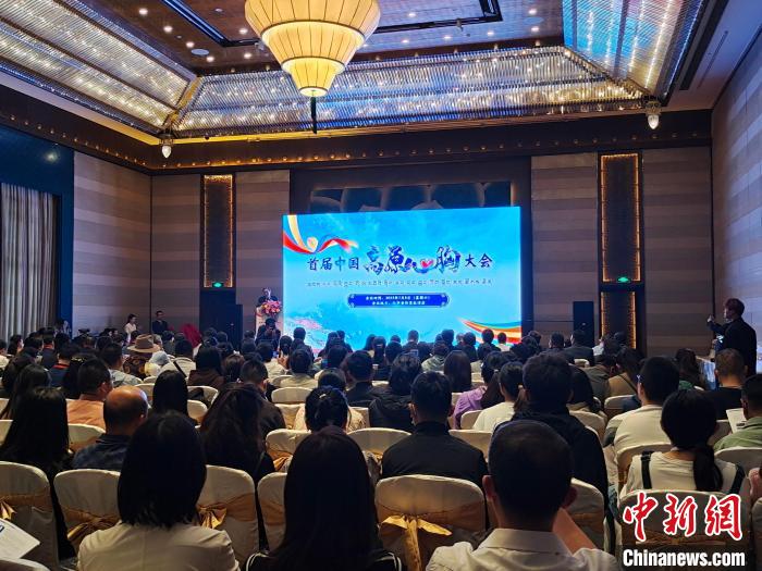 圖為首屆中國高原心胸大會(huì)現(xiàn)場?！☆D旦旺姆 攝